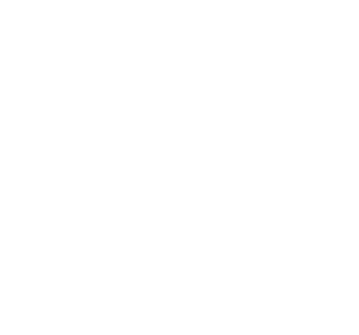 BAYARD Logo